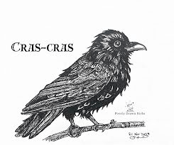 Illustration d'un oiseau noir sur une branche, avec le texte "Cras-Cras" en haut à gauche.